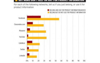 socialmediainfluencebargraph