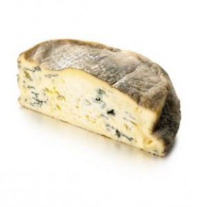 Maggotcheese