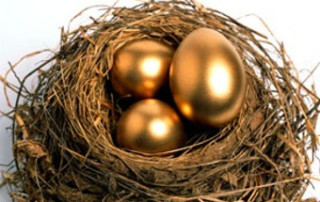 Golden Egg Nest