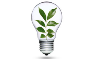 plantinsidelightbulb