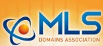 MLS Domains Association Logo 