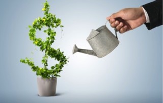 Man watering a plant shaped like a dollar sign.