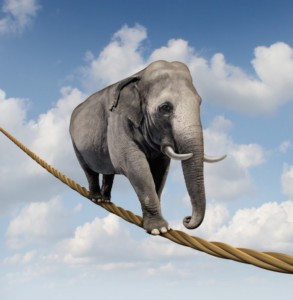 An Elephant Walking A Tightrope
