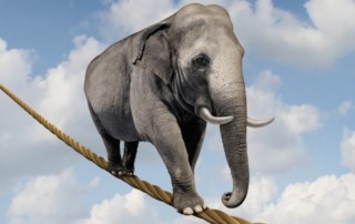 An Elephant Walking A Tightrope