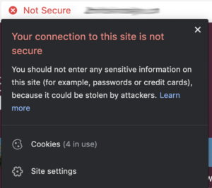 Brave Browser on a non-secure website - without HTTPS