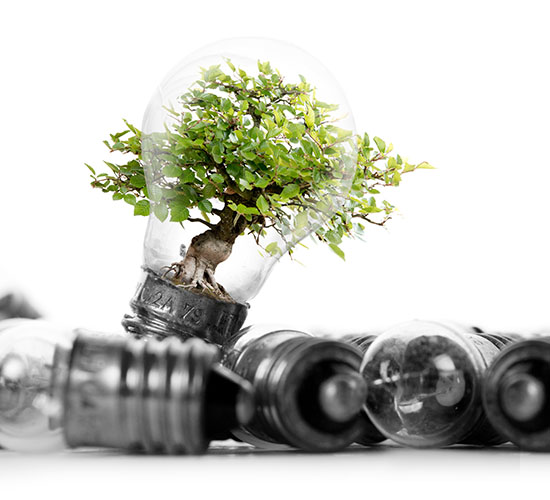 Photo of light bulb heap with tree on white background; concept of ecology, power saving, standing out, uniqueness and innovation