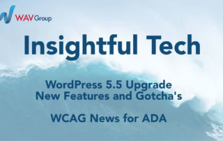 WordPress 5.5 Upgrade and WCAG News for ADA