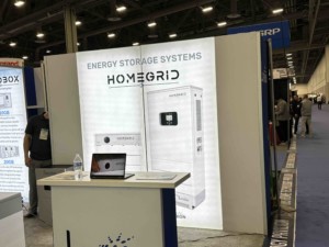 Homegrid energy storage