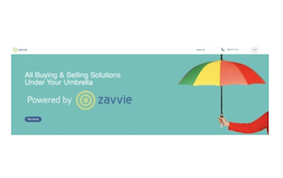 Zavvie umbrella from website