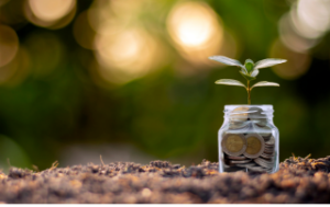 A small plant grows out of a jar filled with coins.