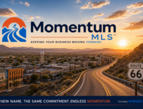 Behind the Brand: Why and How WARDEX Became Momentum MLS